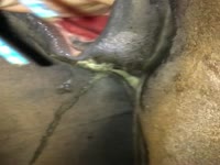 Black big cock of a horse xxx